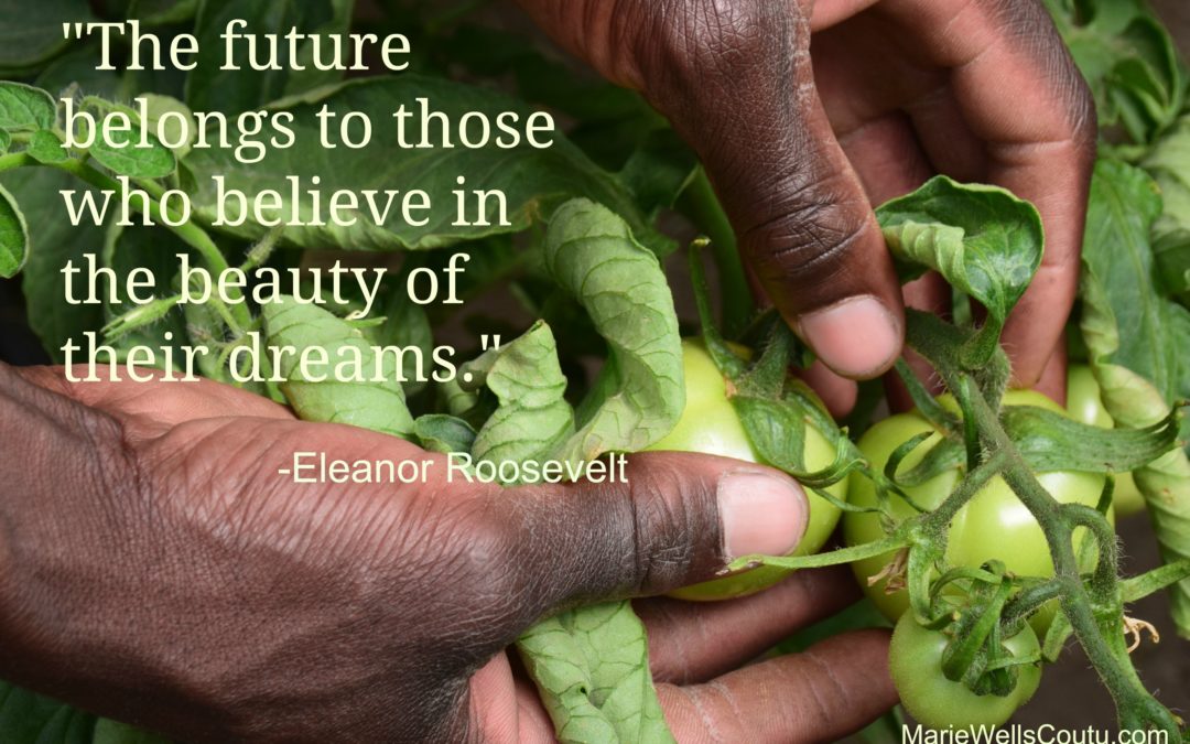 The Beauty of Dreams