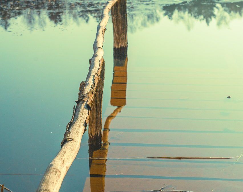 Water, water everywhere? Flood or drought?