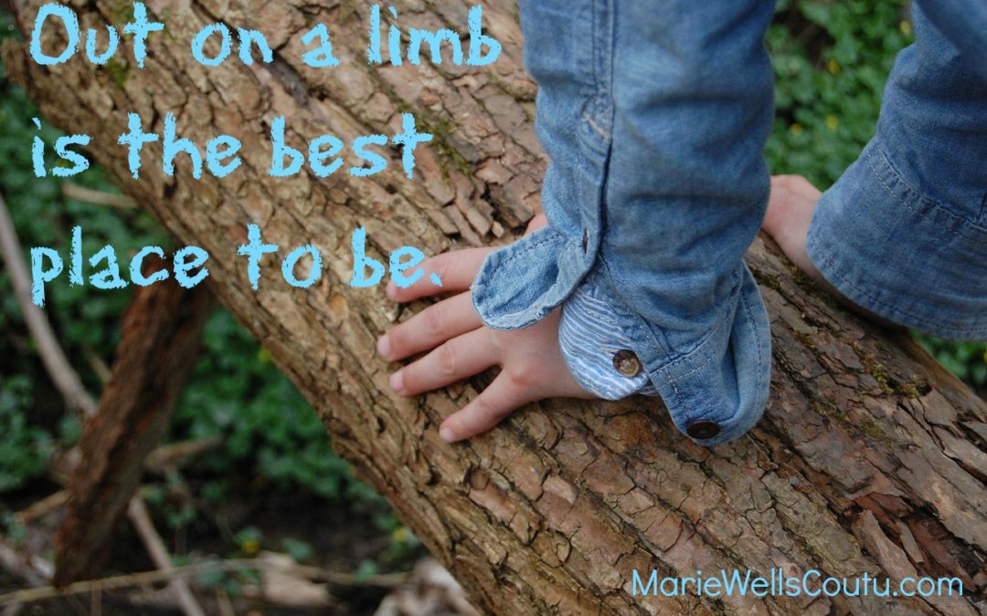 Out on a Limb